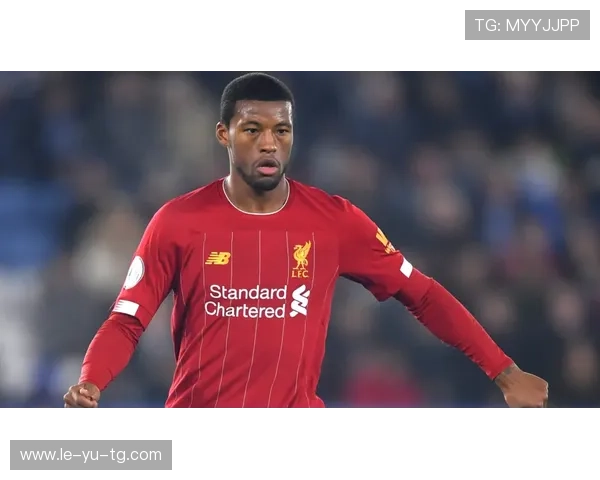 维纳尔杜姆:荷兰中场攻防枢纽再启航 维纳尔杜姆:荷兰中场攻防枢纽再启航